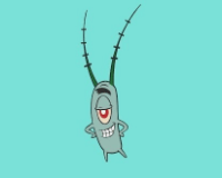 plankton