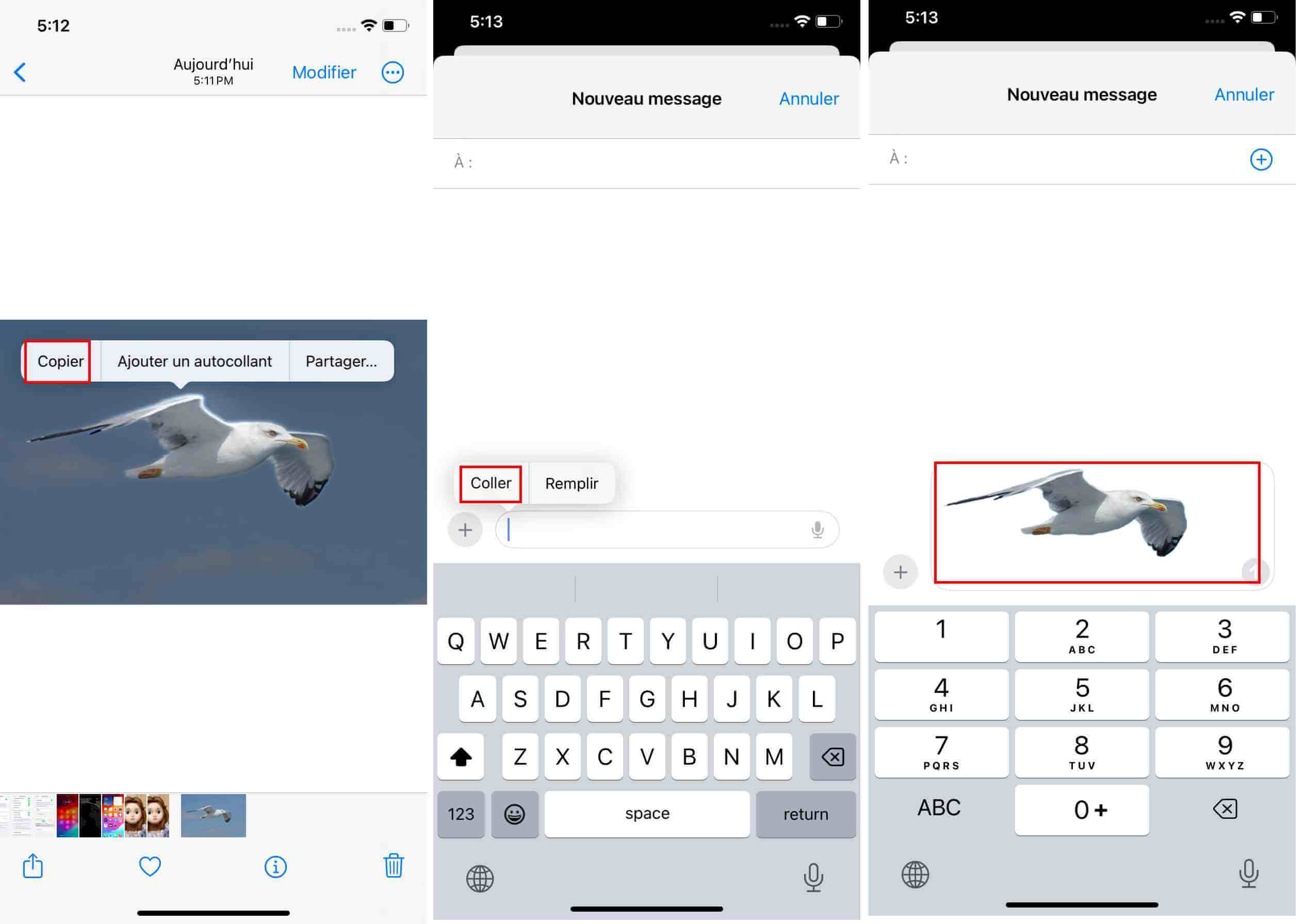 Détourage photo iPhone : Comment supprimer l'arrière-plan d'une photo sur iPhone