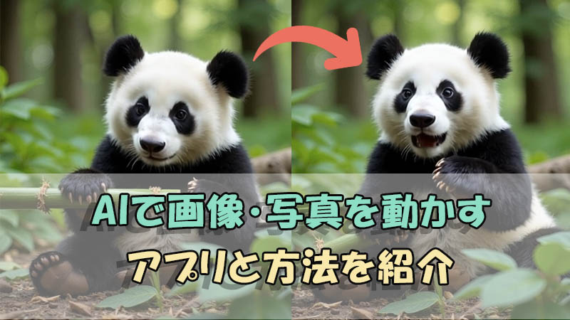 【 2025 】AIで画像・写真を動かすアプリと方法を紹介！